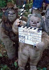 Filming wildlife documentaries on Endor